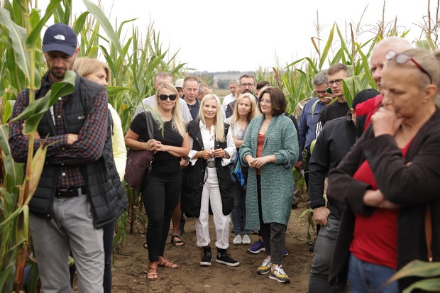 Uczestnicy wśród poletek z kukurydzą spotkania słuchają specjalistów